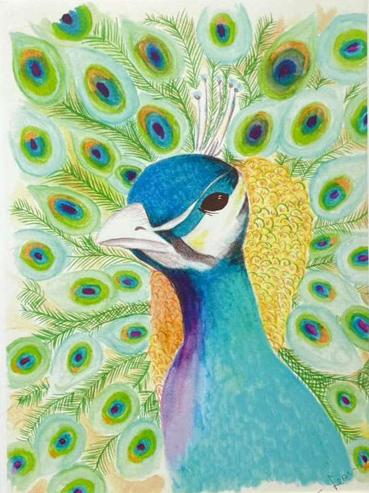 Print - Peacock Watercolor